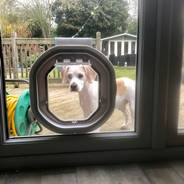 Dog Flap Fitter Dumfries